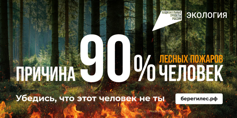 НАЦИОНАЛЬНЫЙ ПРОЕКТ «ПРОФИЛАКТИКА ЛЕСНЫХ ПОЖАРОВ».